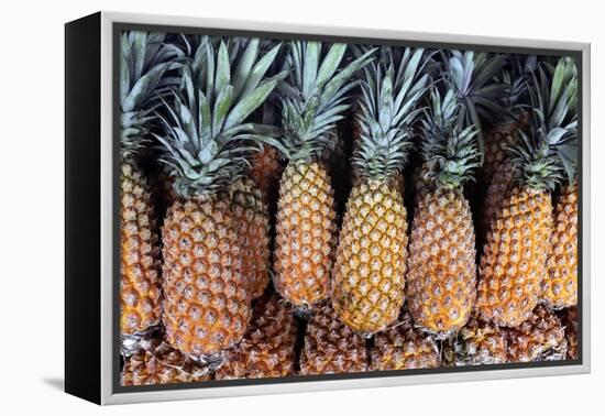 Pineapples Grown in the Amazon, Manaus, Brazil-Kymri Wilt-Framed Premier Image Canvas