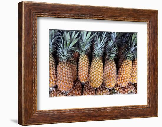 Pineapples Grown in the Amazon, Manaus, Brazil-Kymri Wilt-Framed Photographic Print