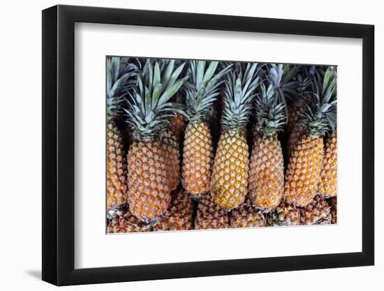 Pineapples Grown in the Amazon, Manaus, Brazil-Kymri Wilt-Framed Photographic Print