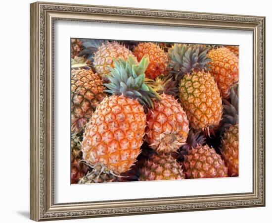 Pineapples, Sunshine Coast, Queensland, Australia-David Wall-Framed Photographic Print