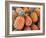 Pineapples, Sunshine Coast, Queensland, Australia-David Wall-Framed Photographic Print