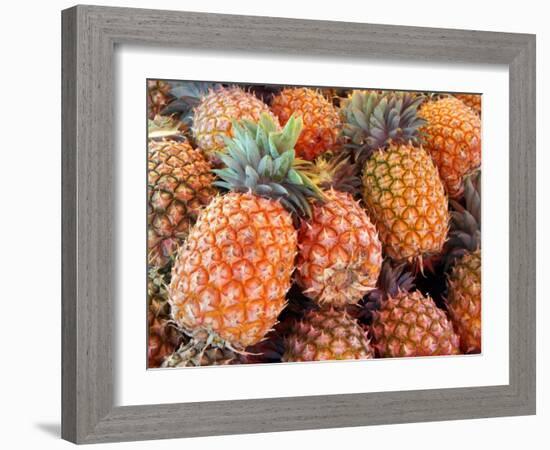 Pineapples, Sunshine Coast, Queensland, Australia-David Wall-Framed Photographic Print