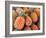 Pineapples, Sunshine Coast, Queensland, Australia-David Wall-Framed Photographic Print