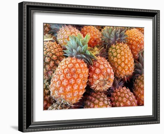 Pineapples, Sunshine Coast, Queensland, Australia-David Wall-Framed Photographic Print