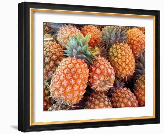 Pineapples, Sunshine Coast, Queensland, Australia-David Wall-Framed Photographic Print