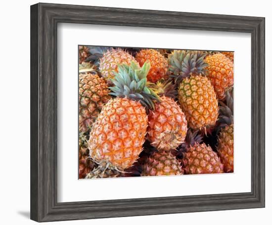 Pineapples, Sunshine Coast, Queensland, Australia-David Wall-Framed Photographic Print