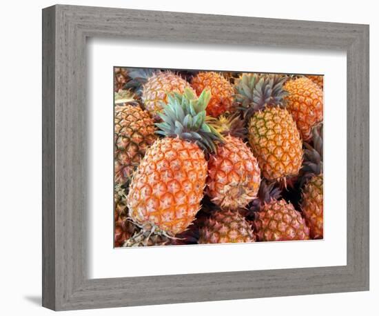 Pineapples, Sunshine Coast, Queensland, Australia-David Wall-Framed Photographic Print