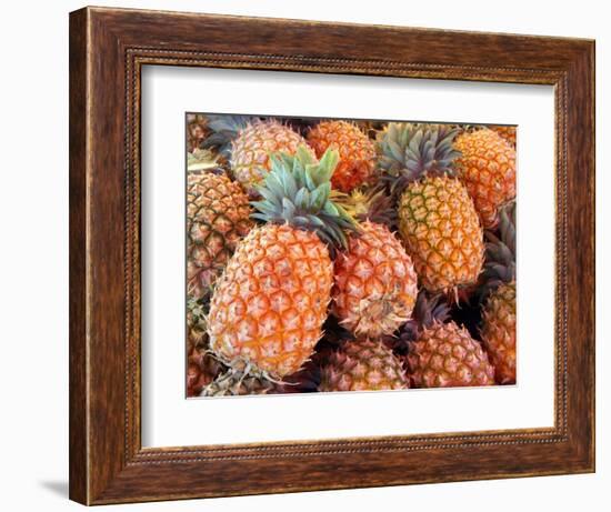 Pineapples, Sunshine Coast, Queensland, Australia-David Wall-Framed Photographic Print