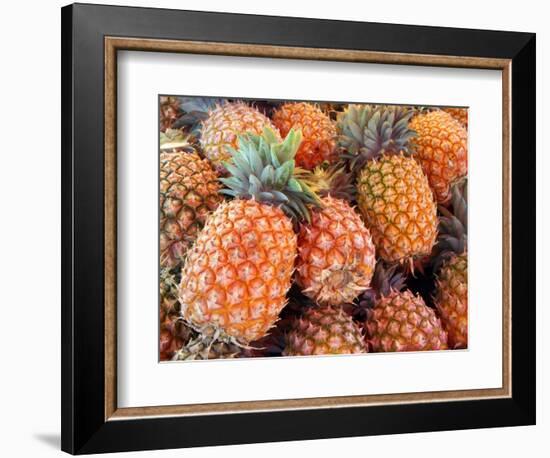 Pineapples, Sunshine Coast, Queensland, Australia-David Wall-Framed Photographic Print