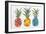 Pineapples-Cat Coquillette-Framed Giclee Print