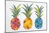 Pineapples-Cat Coquillette-Mounted Giclee Print