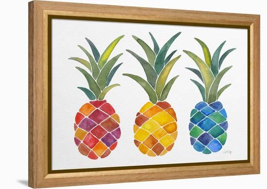 Pineapples-Cat Coquillette-Framed Premier Image Canvas