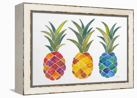 Pineapples-Cat Coquillette-Framed Premier Image Canvas