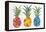 Pineapples-Cat Coquillette-Framed Premier Image Canvas