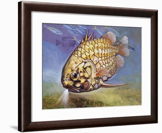 Pinecone Fish (Monocentris Japonica), Monocentridae, Drawing-null-Framed Giclee Print