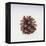 Pinecone-DLILLC-Framed Premier Image Canvas