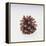 Pinecone-DLILLC-Framed Premier Image Canvas