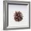 Pinecone-DLILLC-Framed Giclee Print