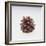 Pinecone-DLILLC-Framed Giclee Print