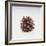 Pinecone-DLILLC-Framed Giclee Print