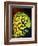 Pineconefish-Barathieu Gabriel-Framed Giclee Print