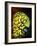 Pineconefish-Barathieu Gabriel-Framed Giclee Print