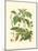 Pinecones & Foliage I-null-Mounted Art Print