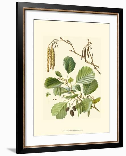 Pinecones & Foliage II-null-Framed Art Print