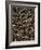 Pinecones-Thonig-Framed Photographic Print