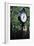 Pinehurst Clock-Dom Furore-Framed Premium Photographic Print
