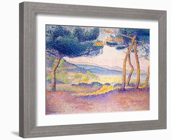 Pines Along the Shore, 1896-Henri-Edmond Cross-Framed Giclee Print