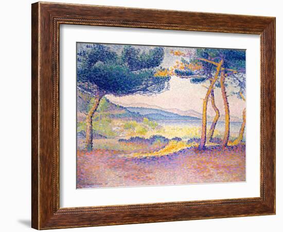 Pines Along the Shore, 1896-Henri-Edmond Cross-Framed Giclee Print