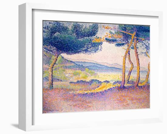 Pines Along the Shore, 1896-Henri-Edmond Cross-Framed Giclee Print