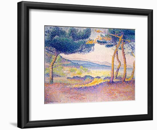 Pines Along the Shore, 1896-Henri-Edmond Cross-Framed Giclee Print