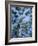 Pines and Sky, Mountain Pine Ridge, Belize, Cental America-Upperhall-Framed Photographic Print