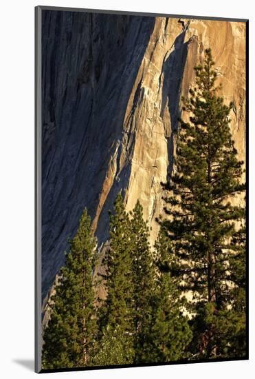 Pines at base of El Capitan, Yosemite National Park, California-Adam Jones-Mounted Photographic Print