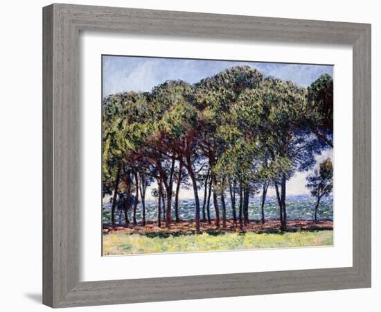 Pines, Cap D'Antibes, 1888-Claude Monet-Framed Giclee Print