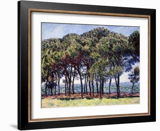 Pines, Cap D'Antibes, 1888-Claude Monet-Framed Giclee Print