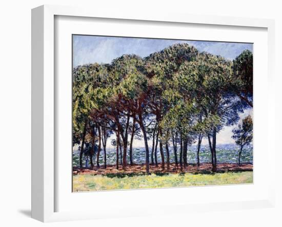 Pines, Cap D'Antibes, 1888-Claude Monet-Framed Giclee Print