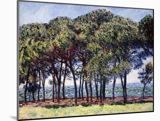 Pines, Cap D'Antibes, 1888-Claude Monet-Mounted Giclee Print