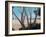 Pines Near Pienza, 2012-Lincoln Seligman-Framed Giclee Print