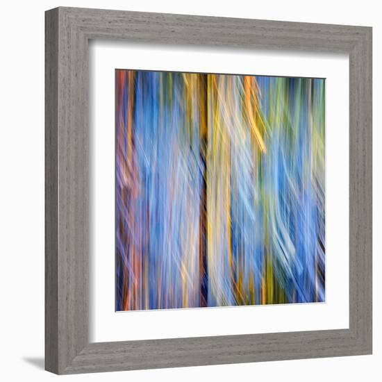 Pines-Ursula Abresch-Framed Premium Photographic Print