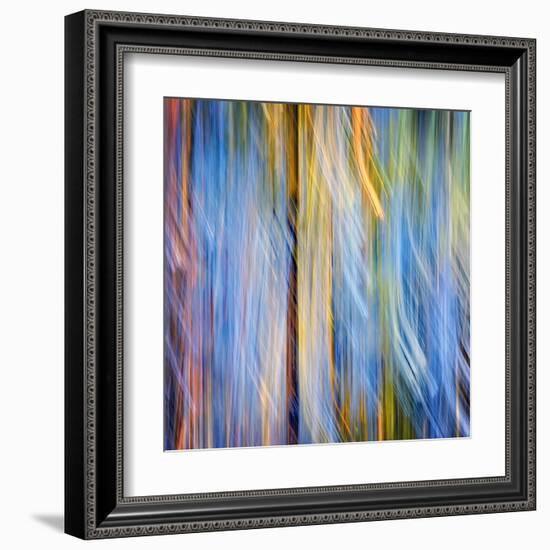 Pines-Ursula Abresch-Framed Premium Photographic Print