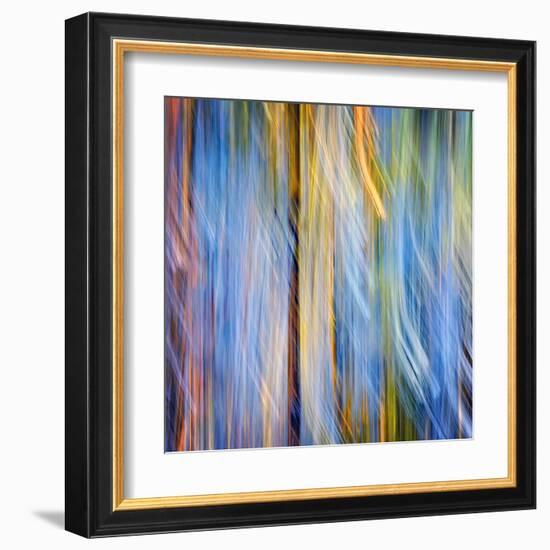 Pines-Ursula Abresch-Framed Premium Photographic Print