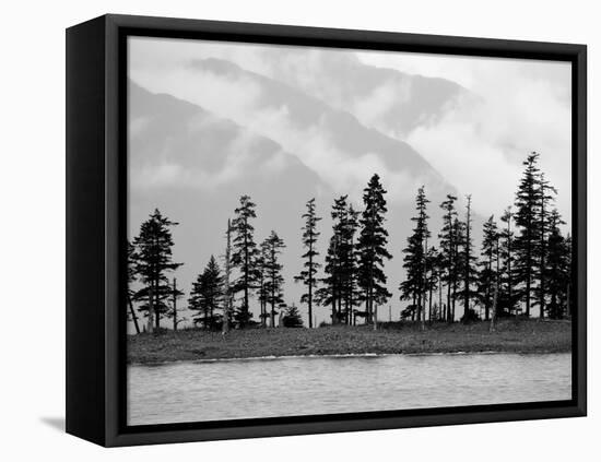 Pines-Savanah Plank-Framed Stretched Canvas