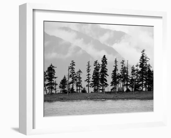 Pines-Savanah Plank-Framed Photo