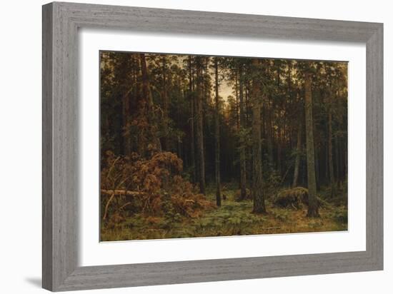 Pinewood, 1885-Ivan Ivanovich Shishkin-Framed Giclee Print