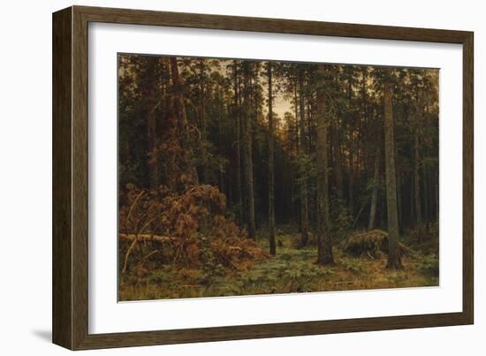 Pinewood, 1885-Ivan Ivanovich Shishkin-Framed Giclee Print