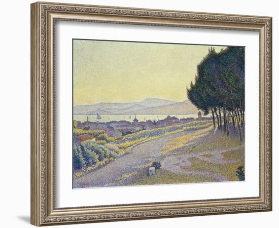 Pinewood, St. Tropez-Paul Signac-Framed Giclee Print