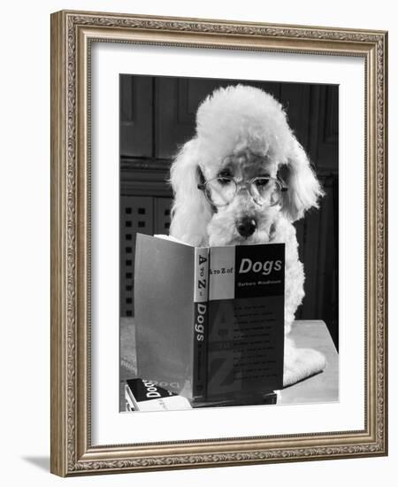 Ping Pong to the Poodle, 1958-George Greenwell-Framed Photographic Print